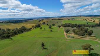 Farm Property for Sale - 2610 Castlereagh Highway Mudgee NSW 2850