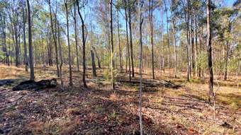 Farm Property for Sale - Lot 10, 13 Kent Tobin Road Maroondan QLD 4671