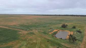 Farm Property for Sale - 101 West Binnu Road West Binnu WA 6532