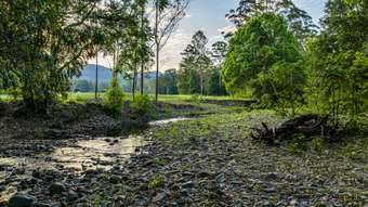 Farm Property for Sale - 755-817 Bellthorpe Range Road Stanmore QLD 4514