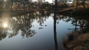 Farm Property for Sale - 1339 Grove Road Bassendean NSW 2365