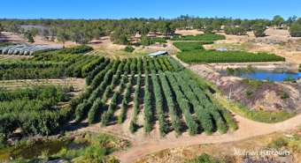 Farm Property for Sale - Lot 21 Brookton Highway Karragullen WA 6111