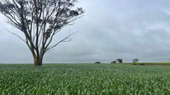 Farm Property for Sale - . &amp;apos;The Dam Block&amp;apos; Cunderdin WA 6407