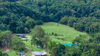 Farm Property for Sale - 84 Armstrong Road Rosebank NSW 2480