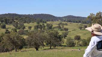 Farm Property for Sale - 380 Nandi Road Canyonleigh NSW 2577