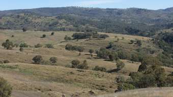 Farm Property for Sale - 1964 The Bridle Track Bruinbun NSW 2795