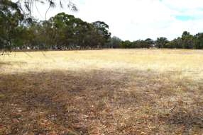 Farm Property for Sale - 1012 Urana Road Jindera NSW 2642