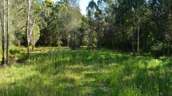 Farm Property for Sale - 1618B The Lakes Way Mayers Flat NSW 2423
