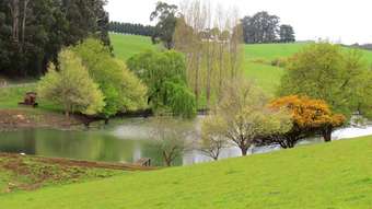 Farm Property for Sale - 999 Morwell - Thorpdale Road Thorpdale VIC 3835