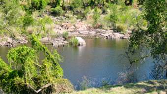 Farm Property for Sale - 3340 Rocky River Road Rocky River NSW 2372