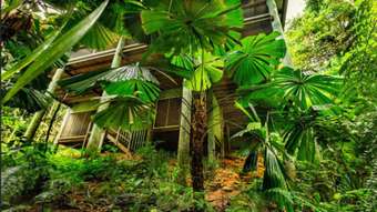 Farm Property for Sale - 61 Greendale Court Jubilee Heights QLD 4860