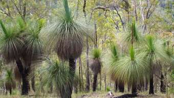 Farm Property for Sale - Lot 4 Armidale Road Bellbrook NSW 2440