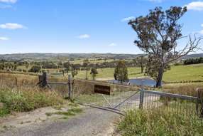 Farm Property for Sale - 442 Sylvia Vale Road Binda NSW 2583