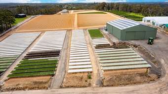 Farm Property for Sale - 215 Pitt Town Road Kenthurst NSW 2156