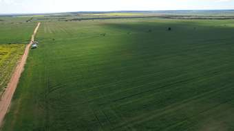 Farm Property for Sale - Tenindewa Williamson Road Mullewa WA 6630