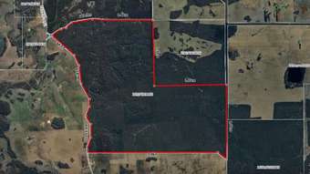 Farm Property for Sale - Lot 215 Blackwattle Road Frankland River WA 6396