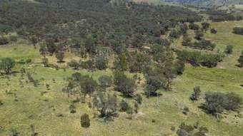 Farm Property for Sale - 2238 Triamble Road Mudgee NSW 2850