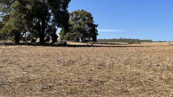 Farm Property for Sale - . Ramsay Road Brookton WA 6306