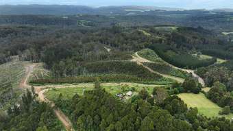 Farm Property for Sale - 555 Amiets Road Wyelangta VIC 3237