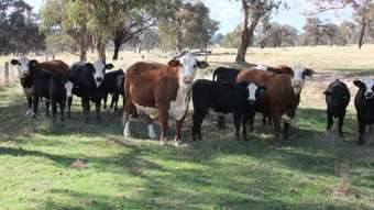 Farm Property for Sale - 1910 Lagoon Road Bathurst NSW 2795