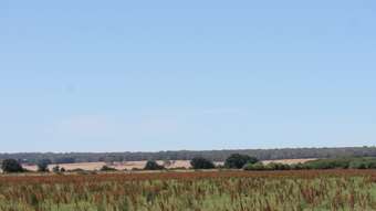 Farm Property for Sale -  Sinclairs Road Swan Marsh VIC 3249