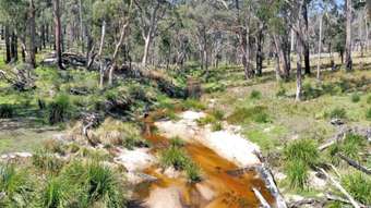 Farm Property for Sale - 1224 Mount McKenzie Road Tenterfield NSW 2372