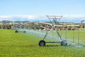 Farm Property for Sale - 164 Settlement Bridge Road Canowindra NSW 2804