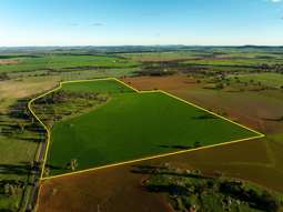 126 Coursing Park Road Downside NSW 2650