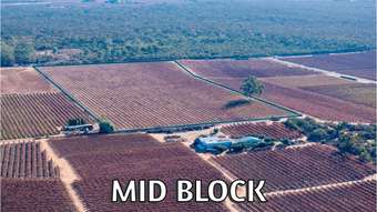 Farm Property for Sale - Lt 192 Puddletown Road Winkie SA 5343