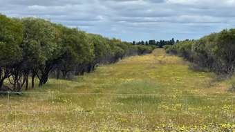 Farm Property for Sale - Swithenban 384 Stones Road Quairading WA 6383