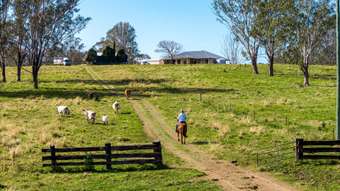 Farm Property for Sale - 75 Busbys Flat Road Leeville NSW 2470