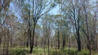 Farm Property for Sale - Lot 2 Connors Road Helidon QLD 4344