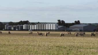 Farm Property for Sale - Cusmano&am Farms Hyden WA 6359