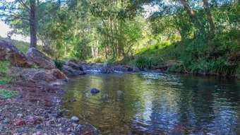 Farm Property for Sale - 1715 Toms Creek Road Toms Creek NSW 2446