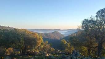 Farm Property for Sale -  Lot 52 Highland Home Road Mudgee NSW 2850