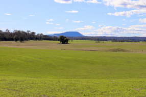 Farm Property for Sale - 31C BRIDGE ROAD Grenville VIC 3352