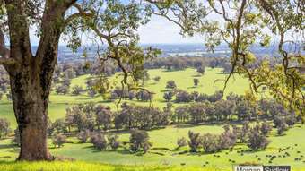 Farm Property for Sale - 51-63  Ridgeview Drive Coolup WA 6214