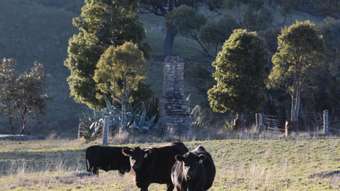 Farm Property for Sale - 394 Range Hills Road Bathurst NSW 2795