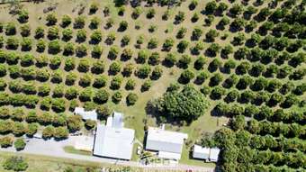 Farm Property for Sale - 3762 Kennedy Highway Mareeba QLD 4880