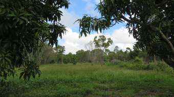 Farm Property for Sale - 30 Allerton Street Booral QLD 4655