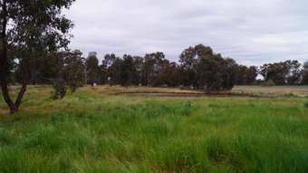 Farm Property for Sale - 49 High Street Violet Town VIC 3669