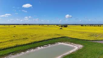 Farm Property for Sale - 2117 Senior Road Senior SA 5268