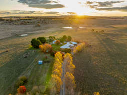 Farm Property for Sale - 39 East Guyong Road Guyong NSW 2798