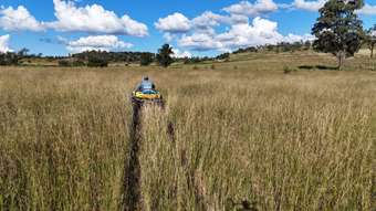 Farm Property for Sale - Hidden Hav The Weir Road Proston QLD 4613