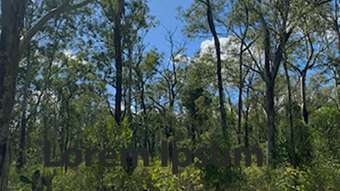 Farm Property for Sale - Lot 167 Haden Crows Nest Road Plainby QLD 4355