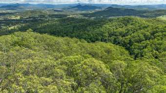 Farm Property for Sale - Lot 70 &am Lot 76 Dennis Road Mungay Creek NSW 2440