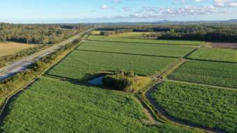 Farm Property for Sale - 13 PACIFIC HIGHWAY Mororo NSW 2469