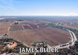 Farm Property for Sale - Lt1 Dalziel Road Winkie SA 5343