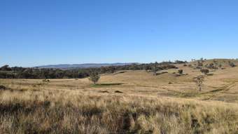 Farm Property for Sale - 804 Old Yullundry Road Yullundry NSW 2867