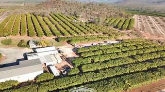 Farm Property for Sale - 1151 Leafgold Weir Road Dimbulah QLD 4872